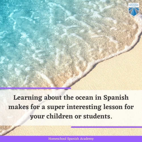 ocean in Spanish